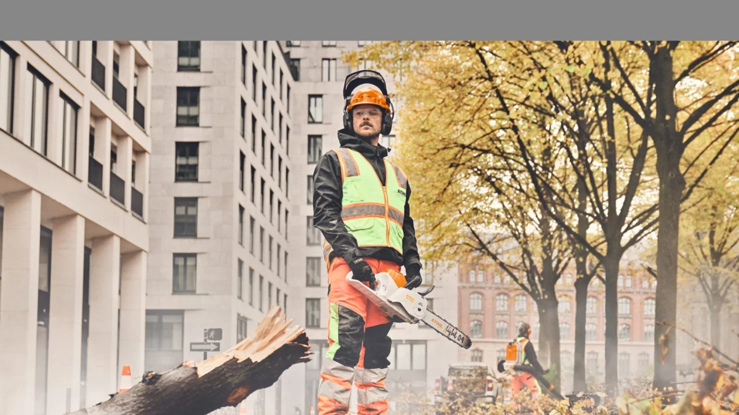 Anwendungsbeispiel: Forstarbeit mit einer STIHL Akku-Motorsäge