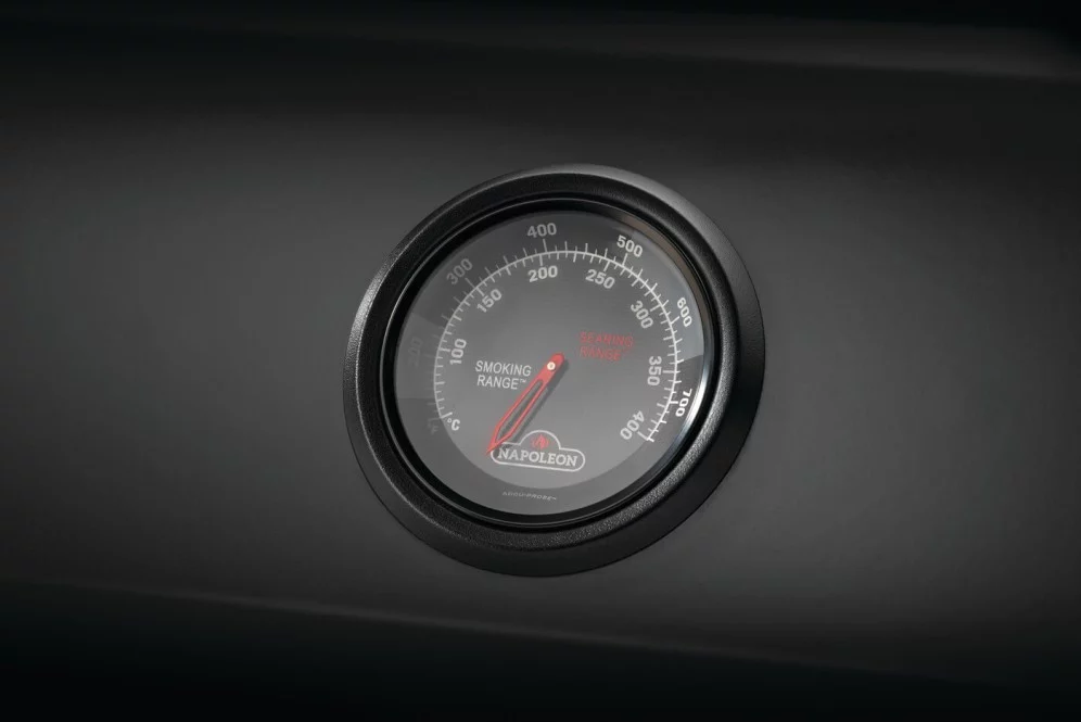 Napoleon Gasgrill Phantom Freestyle 425 – Bild 9