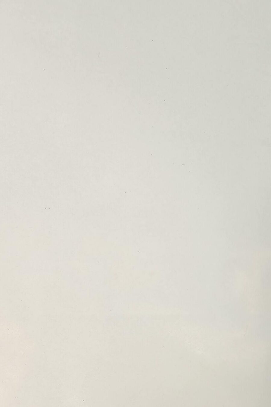 Stahlblech elektrolytisch verzinkt 0,75 mm – 2000 × 1000 mm